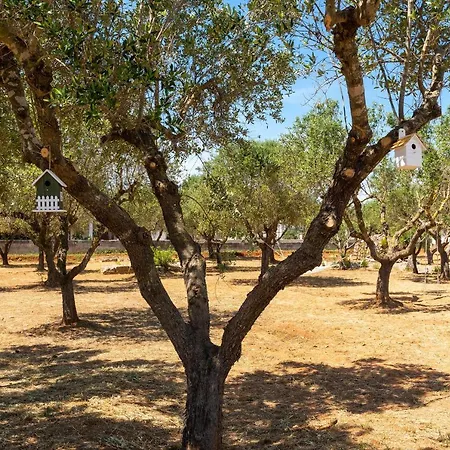 Frühstückspension L'albero D'oro