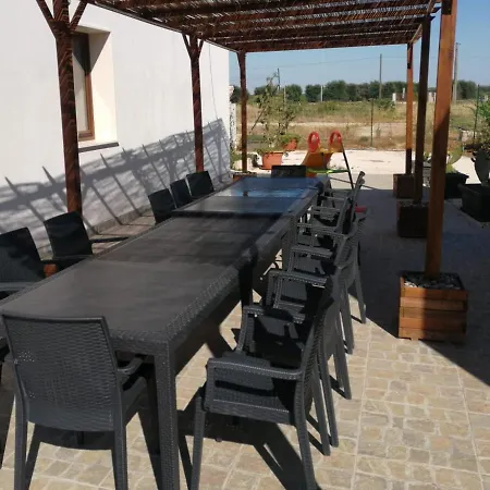 L'albero D'oro * Sava